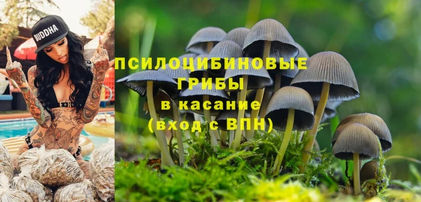 spice Балабаново