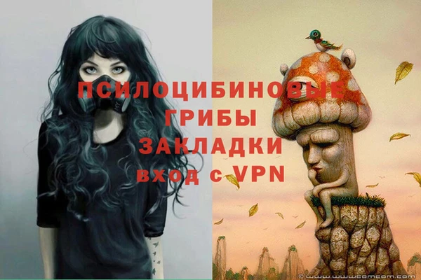 spice Балабаново