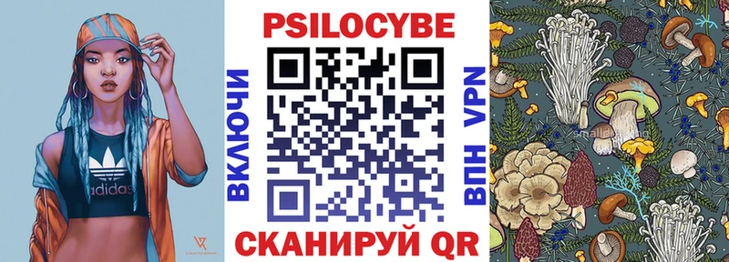 Галлюциногенные грибы Psilocybine cubensis  блэк спрут сайт  Буй 